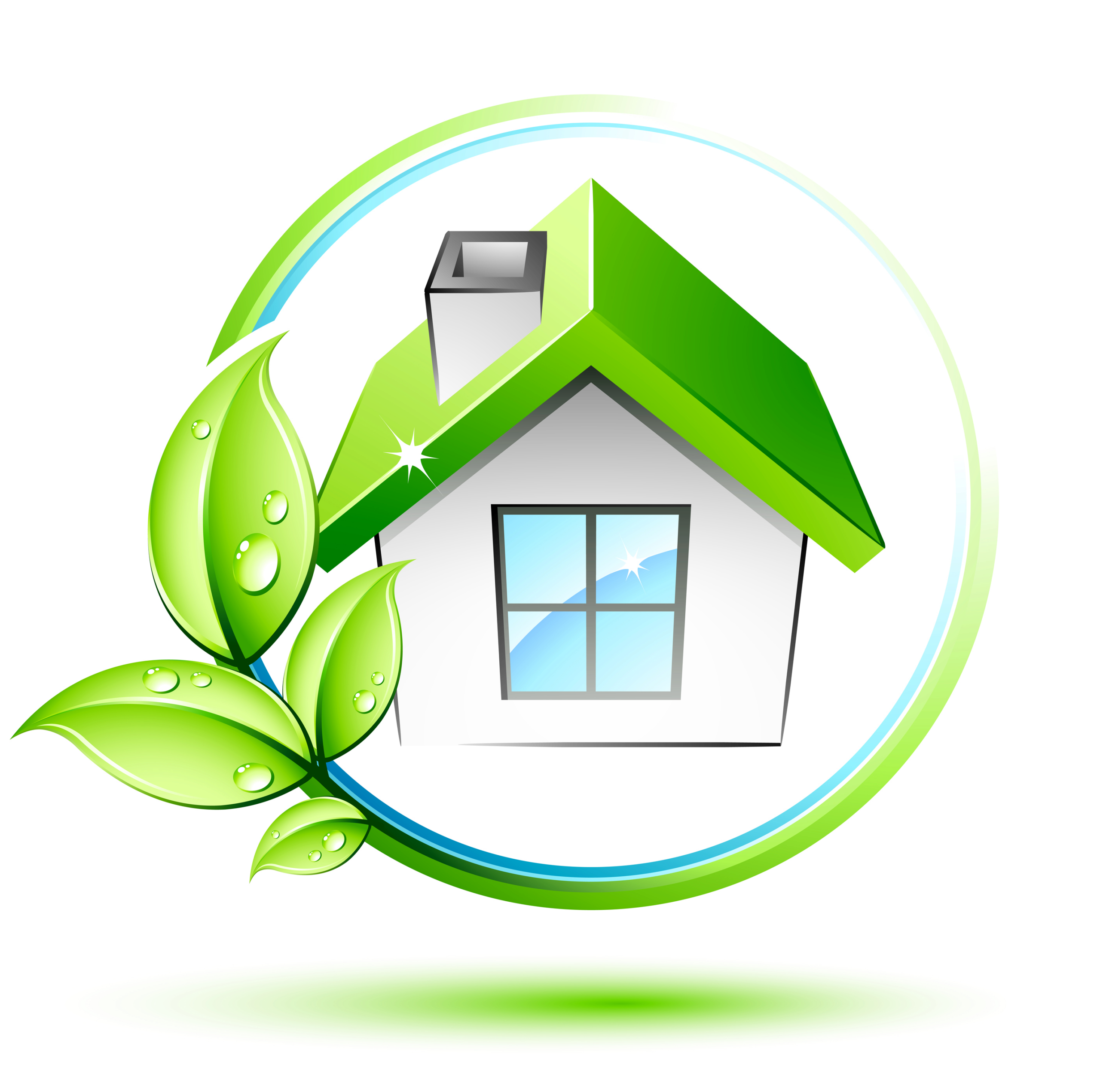 De Araujo Cleaning Services